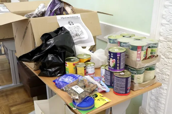 photo_5215417567252517664_y